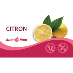 ZM Sorbet Citron 2,5l